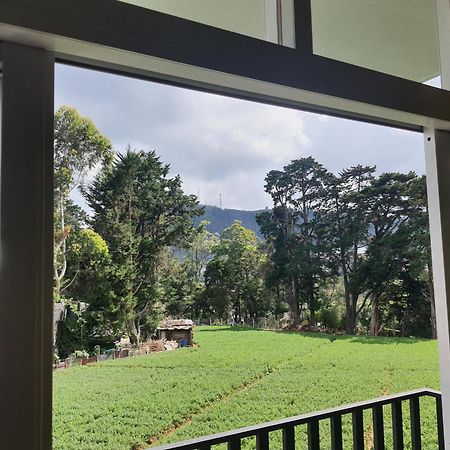 Green Mount View Two Bed Room Apartment نوفارا إيلِيا المظهر الخارجي الصورة