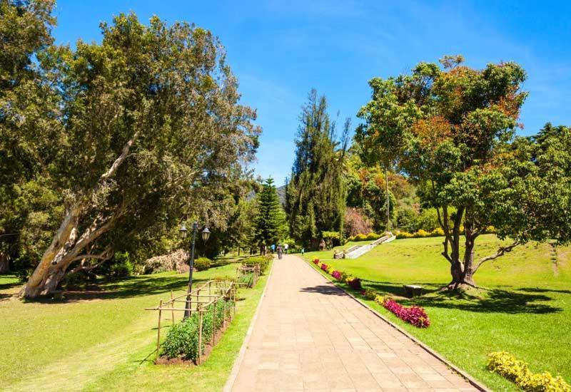 Green Mount View Two Bed Room Apartment نوفارا إيلِيا المظهر الخارجي الصورة